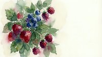 Watercolor painting of fresh raspberries and blueberries with green leaves on light background for kitchen decor and culinary designs.
