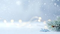 Winter holiday background with evergreen branch and sparkling snow bokeh lights creating festive seasonal atmosphere for greeting cards.