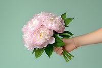 Female hand holding fresh pink peony bouquet with green leaves against mint background, minimal spring floral composition for wedding or celebration.