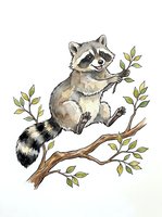 Charming hand-drawn raccoon sitting on a branch with green leaves, isolated on white background. Perfect for children's books, nursery decor, apparel design and educational materials.