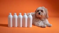 Adorable Havanese dog lying next to row of white plastic bottles on vibrant orange background, pet care and grooming concept for advertising and marketing materials.