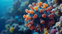 Microscopic view of orange coronavirus cell structure against blue background showing detailed spike proteins and viral surface morphology for medical education.