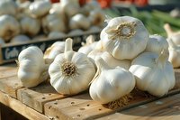 Fresh whole garlic bulbs arranged on rustic wooden surface in natural sunlight, perfect for cooking, food photography, and healthy lifestyle content. Organic farm produce background.