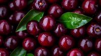 Fresh ripe cranberries with green leaves scattered on dark surface, perfect for healthy eating, cooking, baking and food photography projects.