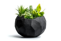 Geometric black concrete planter with lush green succulents and tropical plants, isolated on white background for design use.