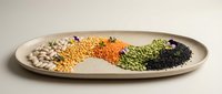 Colorful assorted legumes and grains arranged in rainbow pattern on ceramic plate. Healthy protein sources including lentils, beans, peas for nutrition concepts.