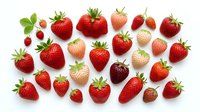 Fresh ripe strawberries in various sizes and shades of red arranged on white background, showcasing different ripeness levels and varieties for food, nutrition, and culinary use.