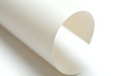 Rolled white paper with peeled edge revealing beige interior, suitable for packaging, printing, and design mockup projects.