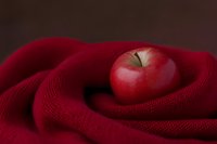 Fresh red apple nestled in soft burgundy knitted fabric creating cozy autumn atmosphere for seasonal marketing and food photography projects.