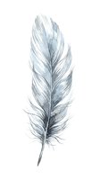 Delicate gray watercolor feather isolated on white background for bohemian decor, spiritual designs, and nature-inspired artwork projects.