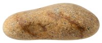 Freshly baked whole grain bread loaf with seeds isolated on white background for bakery and food design projects.