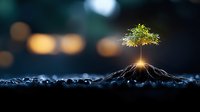 Small glowing tree growing from dark soil against blurred bokeh background, symbolizing hope, growth and new beginnings in nature conservation concept.