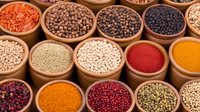 Colorful assortment of legumes, grains and spices in wooden bowls arranged in rows. Variety of lentils, beans, peppercorns and seeds for healthy cooking.