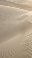 Smooth golden sand dunes with rippled texture patterns created by wind erosion in warm desert landscape for travel and nature backgrounds.