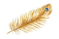 Golden peacock feather with blue eye spot isolated on white background for luxury design elements, spiritual symbolism, and decorative arts.