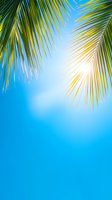Palm fronds frame bright blue summer sky with sunlight peeking through green leaves, creating tropical vacation atmosphere for travel and resort marketing.