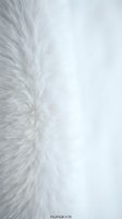 White fluffy fur texture close-up with soft natural fibers creating luxurious background for fashion and interior design projects.