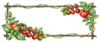 Rustic twine frame adorned with fresh red tomatoes and green foliage, perfect for food labels, recipe cards, garden designs, and agricultural marketing materials.