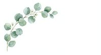 Watercolor eucalyptus branch with green leaves on white background, botanical illustration for wedding invitations, greeting cards and natural decor.
