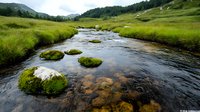 Mountain stream flows through green alpine meadow with moss-covered rocks and clear water reflecting sky, surrounded by pine forest and distant peaks.