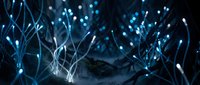 Fiber optic cables with glowing blue light points creating network connections for technology and communication concepts.