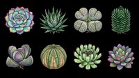 Colorful succulent plants collection isolated on transparent background, ready for stickers, T-shirt design, print on demand, clipart, and sublimation projects.