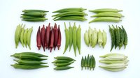 Fresh okra varieties isolated on white background, ready for culinary design, recipe blogs, food packaging, and agricultural marketing materials.