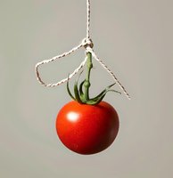 Fresh ripe red tomato hanging on string against light background, with green stem attached. Minimalist food photography concept for healthy eating.