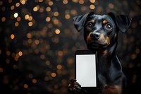 Adorable Rottweiler puppy holding blank white card against warm bokeh lights background for holiday greetings and promotional designs.