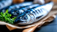 Fresh raw mackerel fish with bright scales and parsley garnish on craft paper, close-up view showing texture and natural metallic sheen of seafood.