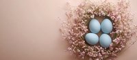 Pastel blue eggs nestled in delicate pink baby's breath flowers on soft pink background, creating gentle Easter or spring composition with copy space.