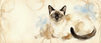 Siamese cat with dark points illustrated in watercolor style with abstract washes and splashes, isolated on cream background for design projects.