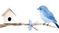 Watercolor blue mountain bluebird perched on branch near white birdhouse, delicate blue flower decoration, soft nature illustration on white background.