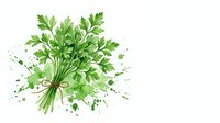 Fresh green parsley bunch tied with twine, watercolor style with paint splashes, isolated on white background, ready for design use.