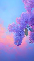 Blooming lilac branches against dreamy sunset sky in purple and pink hues, creating romantic spring atmosphere with delicate flower clusters.