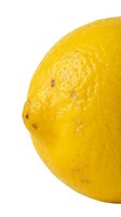 Fresh yellow lemon with textured peel isolated on white background, suitable for food, beverage, and culinary design projects.