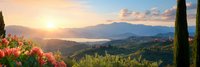 Mediterranean landscape with cypress trees and blooming flowers at golden sunset over rolling hills and distant mountains creating peaceful countryside scenery.