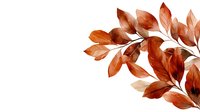 Elegant copper-toned leaves branch arrangement on white background, translucent watercolor style foliage in warm autumn colors. Isolated design element for decor.