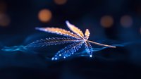 Delicate maple seed pod with water drops glowing in dark blue twilight, creating magical bokeh effect and highlighting nature's intricate patterns.
