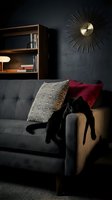 Modern living room interior with gray upholstered sofa, black cat lounging on armrest, geometric patterned and burgundy pillows, wooden wall-mounted shelving unit with books and decor, sunburst wall clock, dark textured walls. Perfect for home design and furniture marketing.