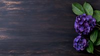 Vibrant purple hydrangea flowers with green leaves on dark rustic wooden background with copy space, moody floral composition for social media and blogs.