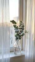 Eucalyptus branches in glass vase on windowsill with sheer curtains and warm sunlight creating peaceful home interior atmosphere for relaxation and wellness.