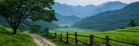 Serene mountain valley with wooden fence path through green rice fields and misty peaks creating peaceful rural landscape for nature and agriculture concepts.