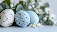 Speckled Easter eggs in white and blue pastel colors with fresh spring daisies and eucalyptus leaves creating soft seasonal holiday composition.