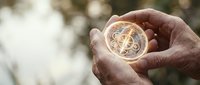 Hands holding golden bitcoin cryptocurrency coin with bokeh background representing digital investment and financial technology future.