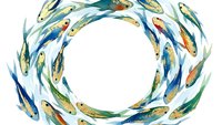 Watercolor fish swimming in circular motion forming decorative frame on white background. Colorful aquatic life illustration for marine themed designs.