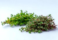 Fresh thyme herb bunches with green and purple varieties on white background, aromatic cooking ingredient for culinary use.