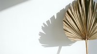 Dried palm leaf casting dramatic shadow on white wall, botanical home decor and interior design element.