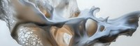 Abstract fluid art with flowing organic shapes in neutral tones of white, gray and beige creating dynamic movement and contemporary design elements.