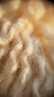Soft blonde curly hair strands with warm golden light creating dreamy bokeh effect for beauty and haircare concepts.